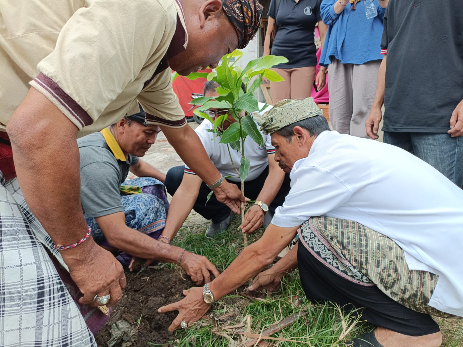 Penanaman Tanaman bersama Warga